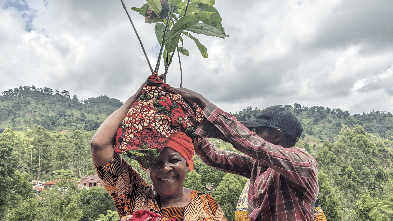 Bungu: Growing Resilience Through Agroforestry in Korogwe